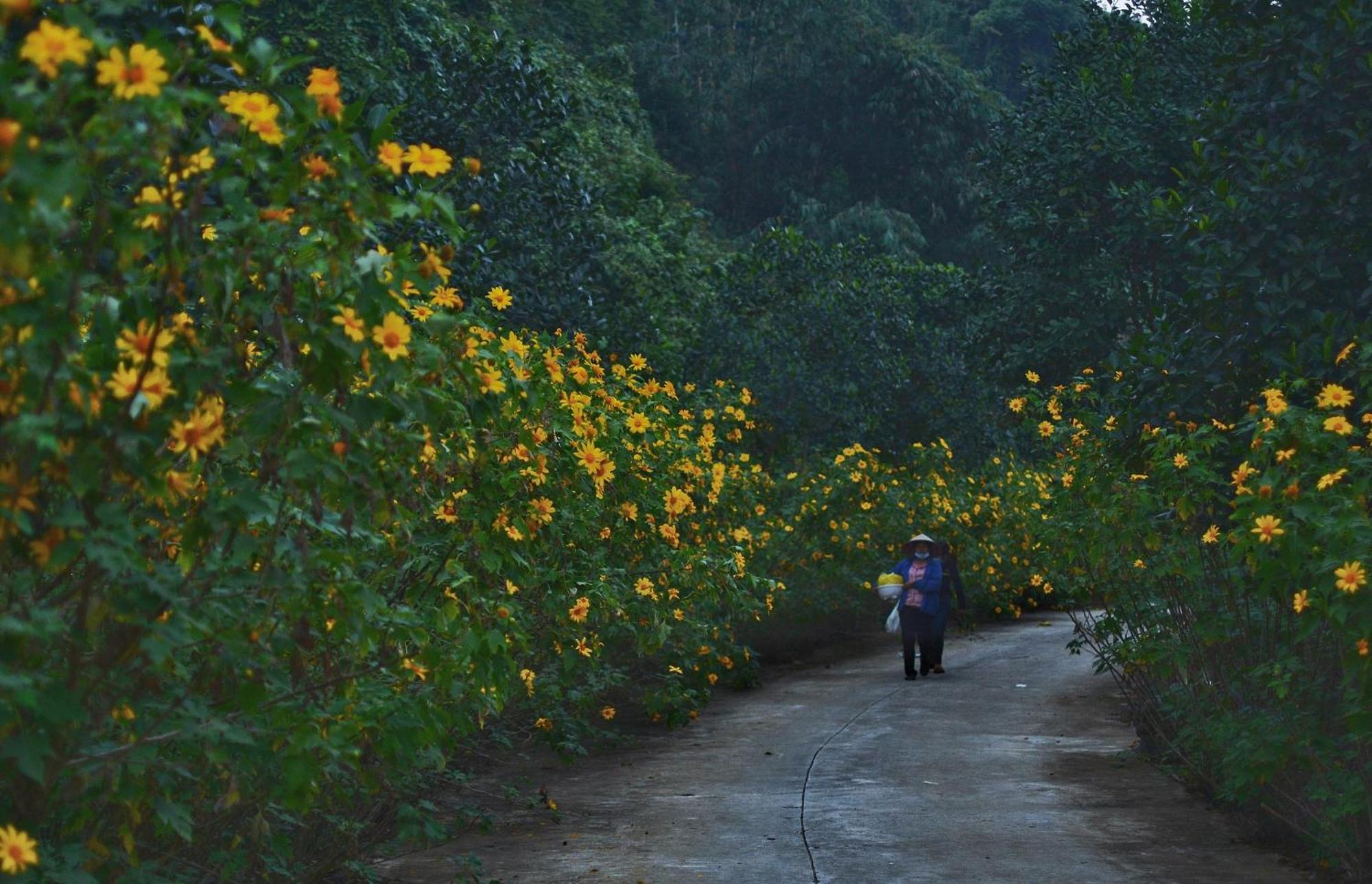 Thung Nham Resort Ninh Binh Buitenkant foto