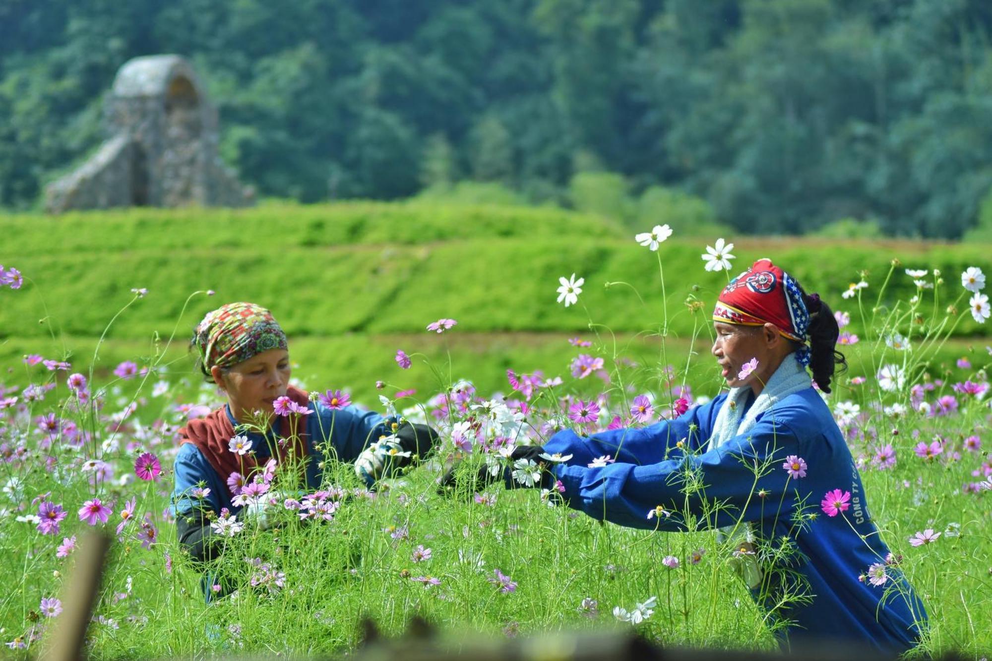 Thung Nham Resort Ninh Binh Buitenkant foto