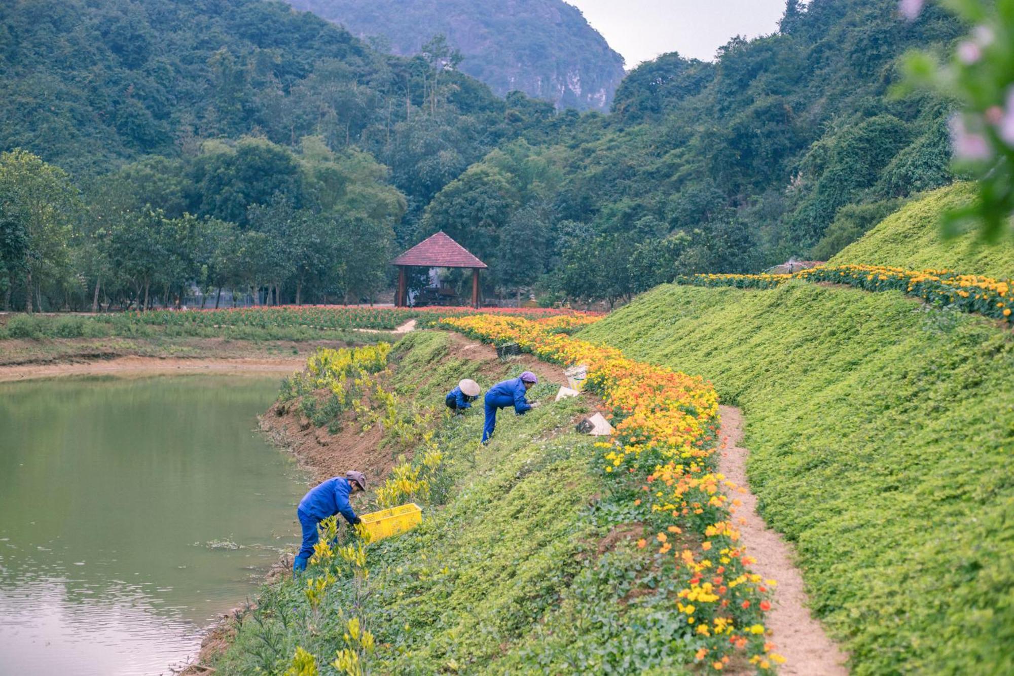 Thung Nham Resort Ninh Binh Buitenkant foto